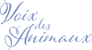 Voix des animaux